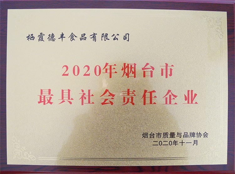 2020年烟台市最具社会责任企业