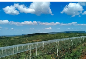 Apple base