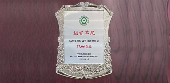 77.06亿元！“栖霞苹果”品牌价值稳居全国榜首！