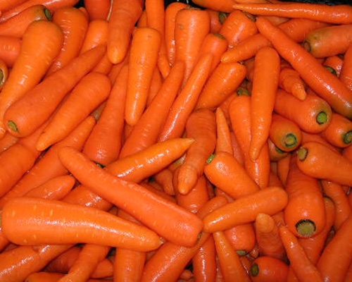 Carrots