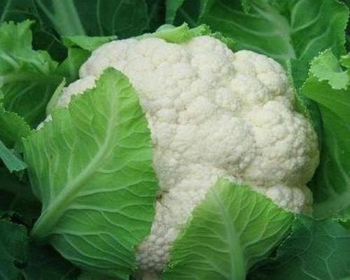 Cauliflower