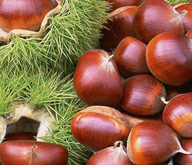 Chestnut