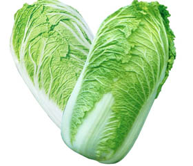 Chinese cabbage