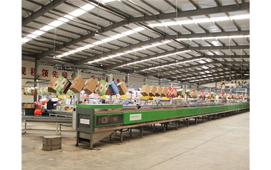 Processing workshop