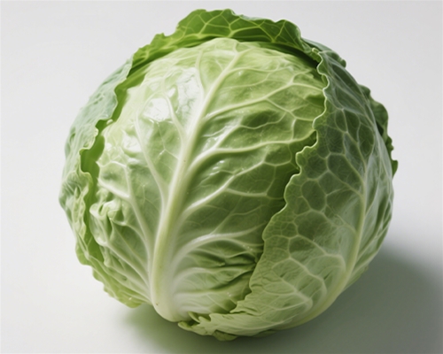 包菜